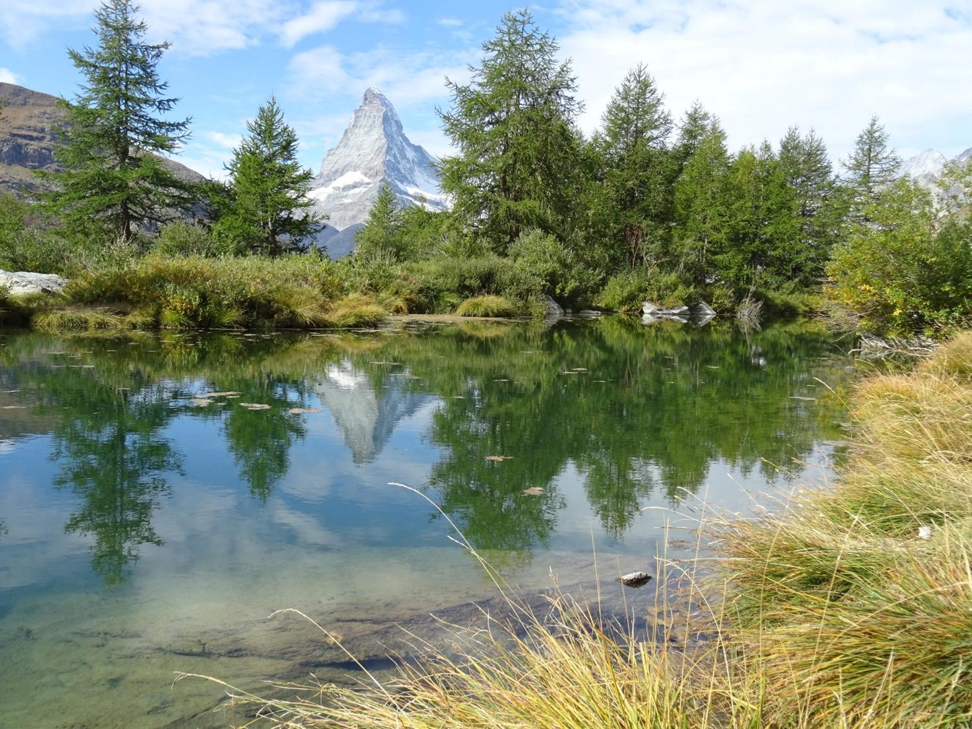 Hotel Phoenix Zermatt Eksteriør bilde