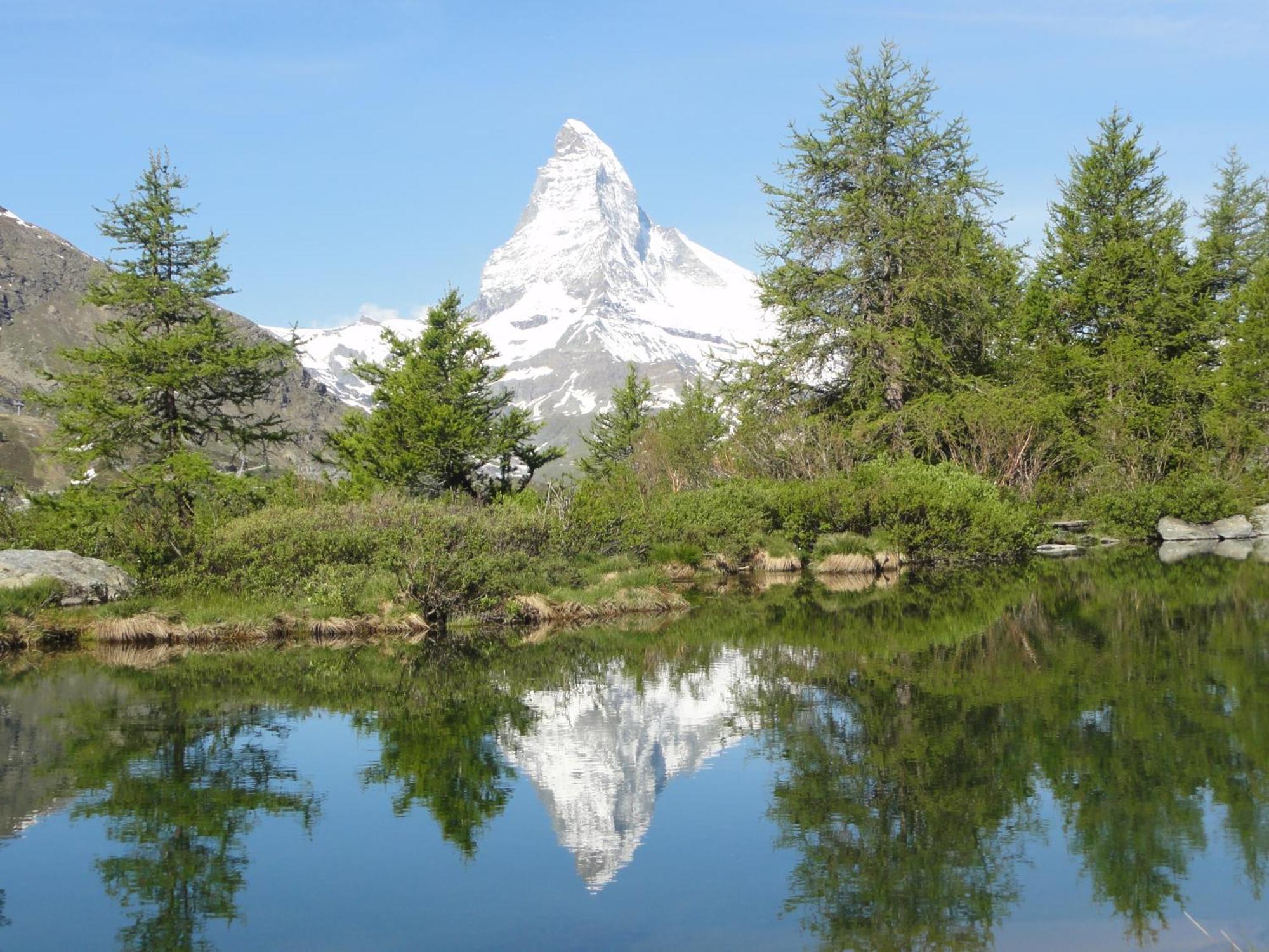 Hotel Phoenix Zermatt Eksteriør bilde